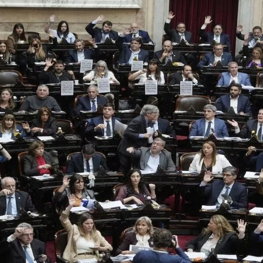 Discapacidad: Milei tuvo que retroceder y Diputados aprobó una ley que pone límites al ajuste
