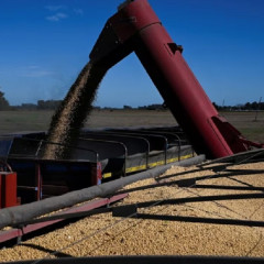 En julio proyectan liquidación récord del agro