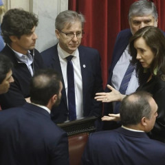 El Senado anuló los vetos de Milei contra universidades y el Garrahan por una abrumadora mayoría