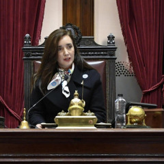 Villarroel sostiene lo aprobado en el Senado