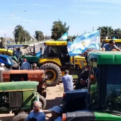 Patentamientos de maquinaria agrícola cayeron 40%