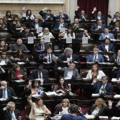 Discapacidad: Milei tuvo que retroceder y Diputados aprobó una ley que pone límites al ajuste