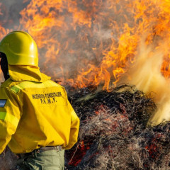 Ambiente / Milei bajó 78% los fondos para el combate de incendios