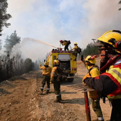 Emergencia ígnea: incendios forestales dejan a la Patagonia bajo fuego