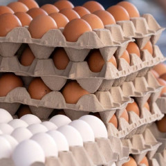 Argentina primera en consumo de huevos a nivel mundial