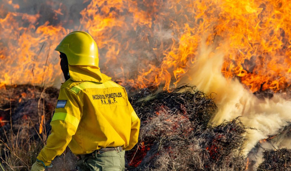 Incendio Forestal