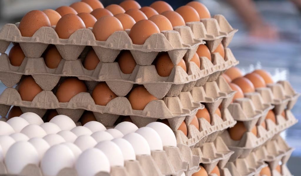 Argentina primera en consumo de huevos a nivel mundial